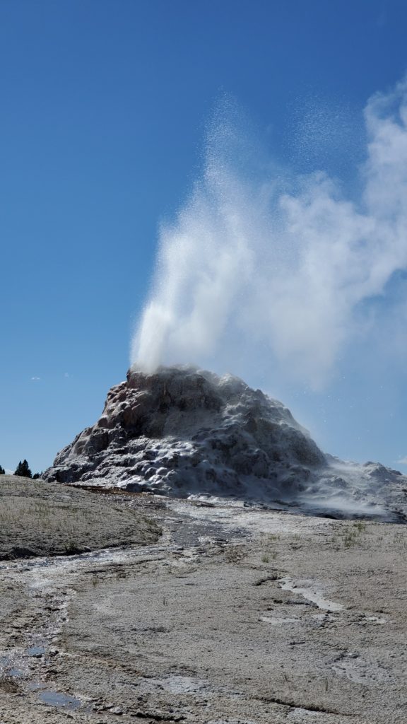 White Dome Geyser Yellowstone National Park