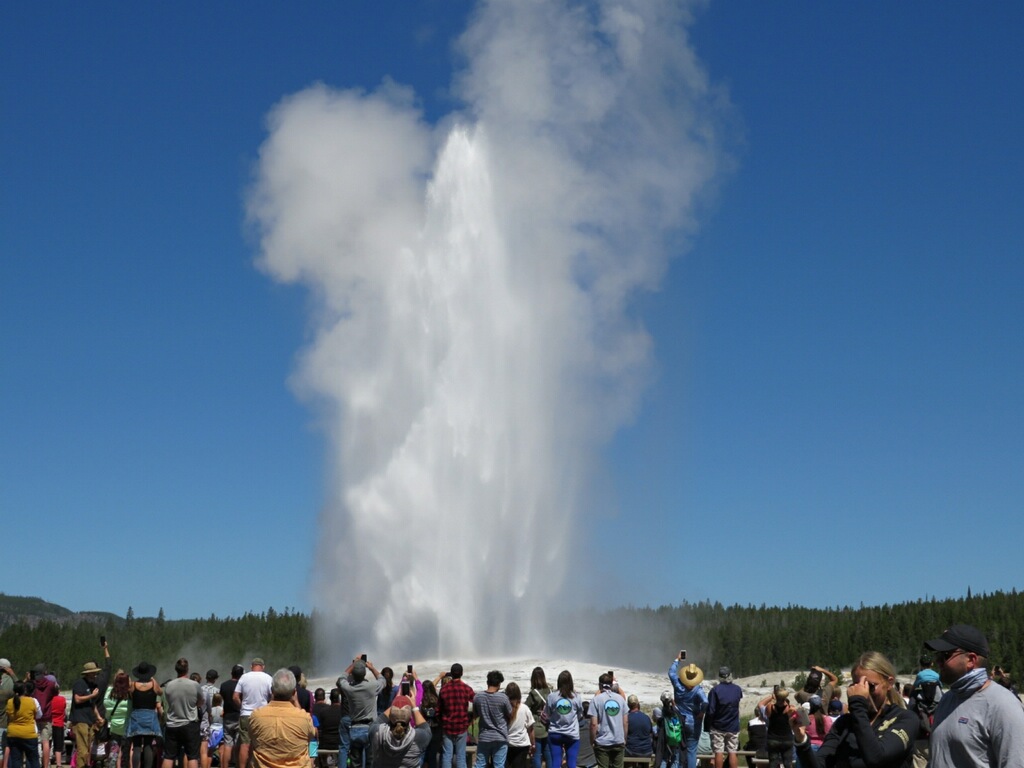 Old Faithful Yellowstone National Park