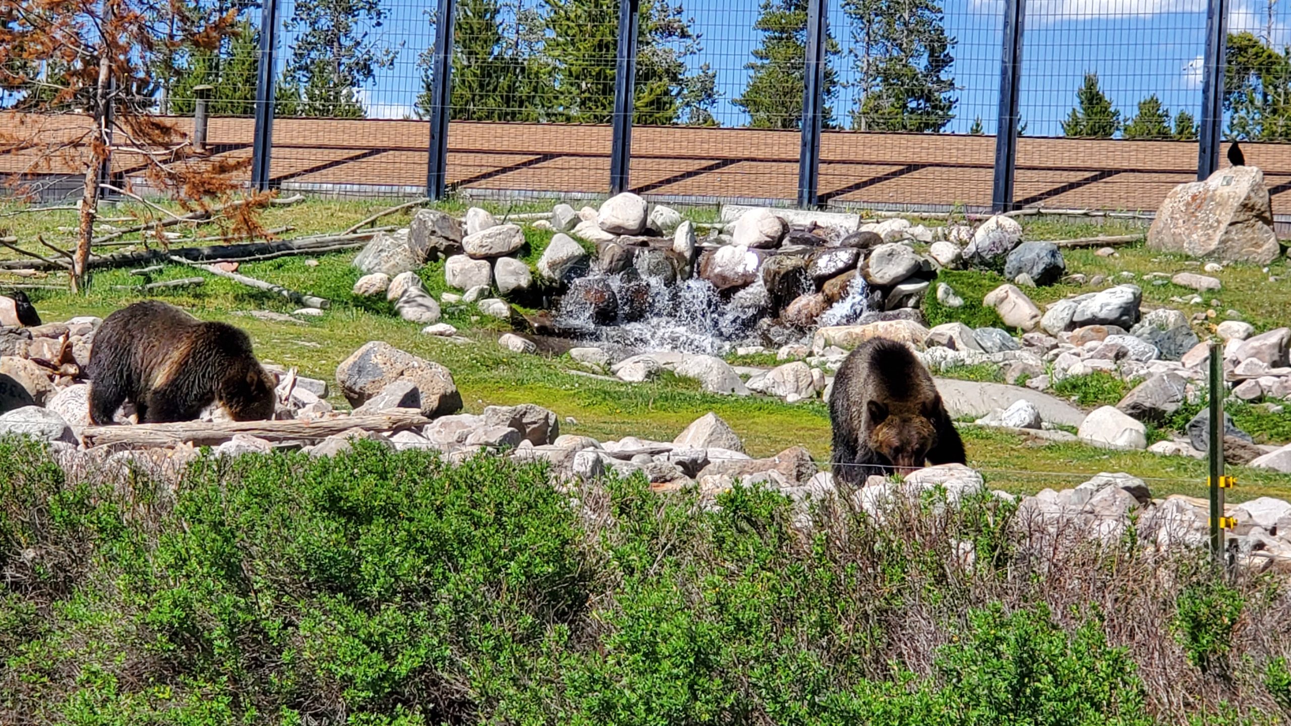 West Yellowstone Montana