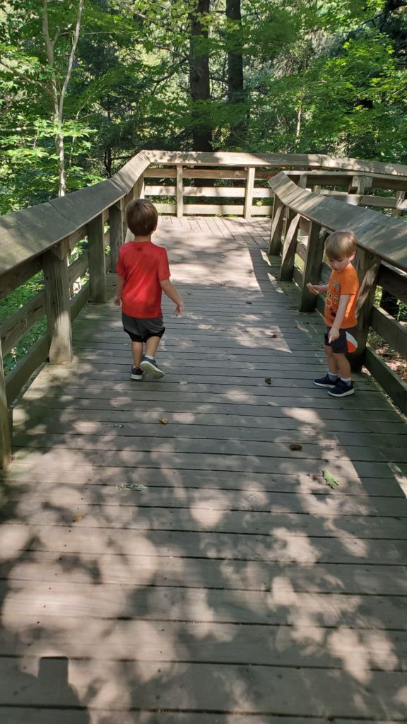 Boardwalk to Brandywine Falls