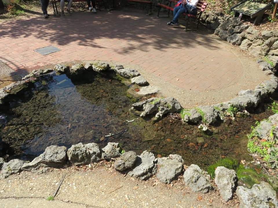 Hot Springs National Park Display Springs