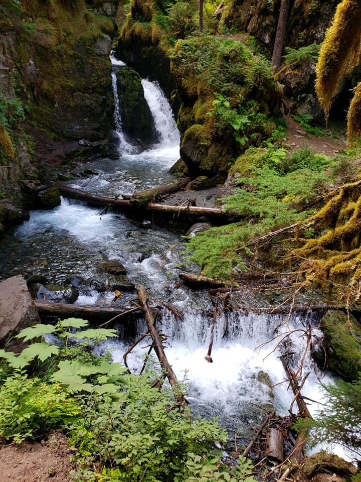 Virgin Creek Falls