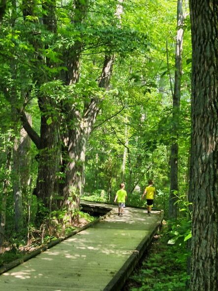 Sloan's Crossing Pond Walk Trail