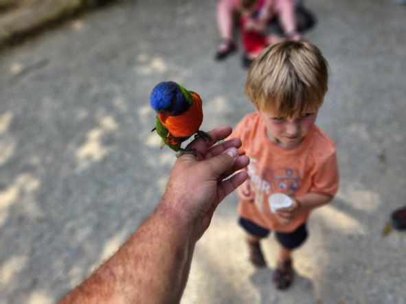 Kentucky Down Under Zoo bird exhibit