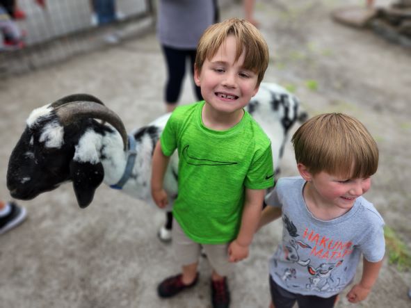 Ark Encounter petting zoo