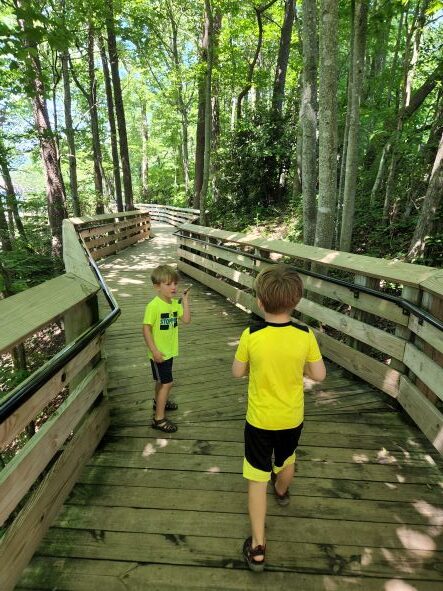 The Lower Overlook path