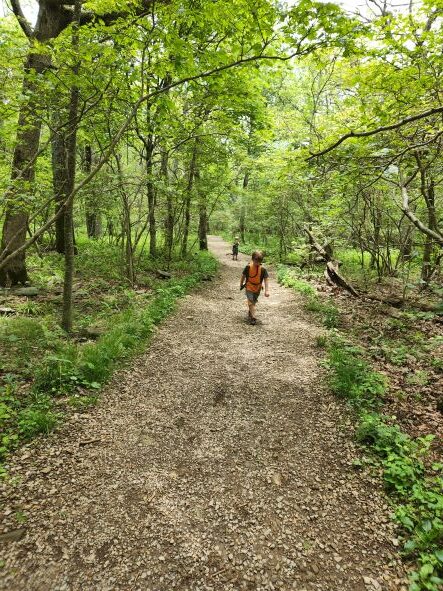 Upper Hawksbill Trail