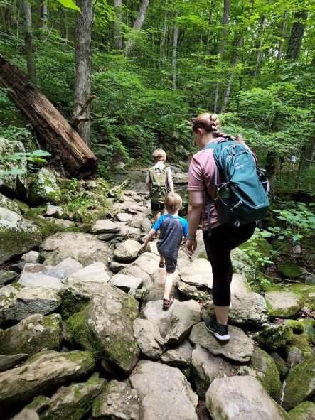 South River Falls Trail