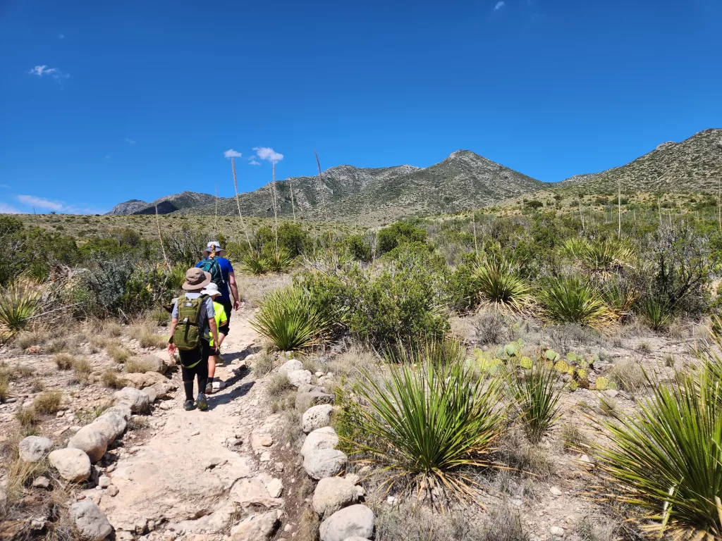 McKittrick Canyon Trail