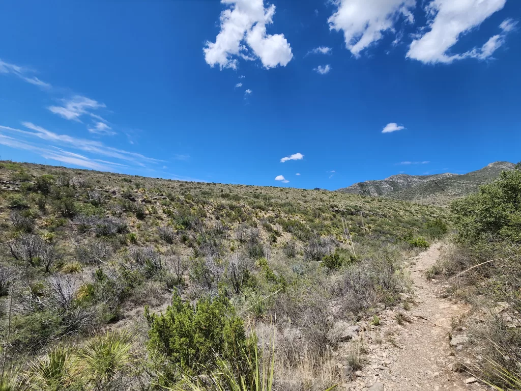 Enjoying the McKittrick Canyon Trail