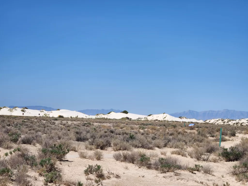 Playa Trail at White Sands National Park