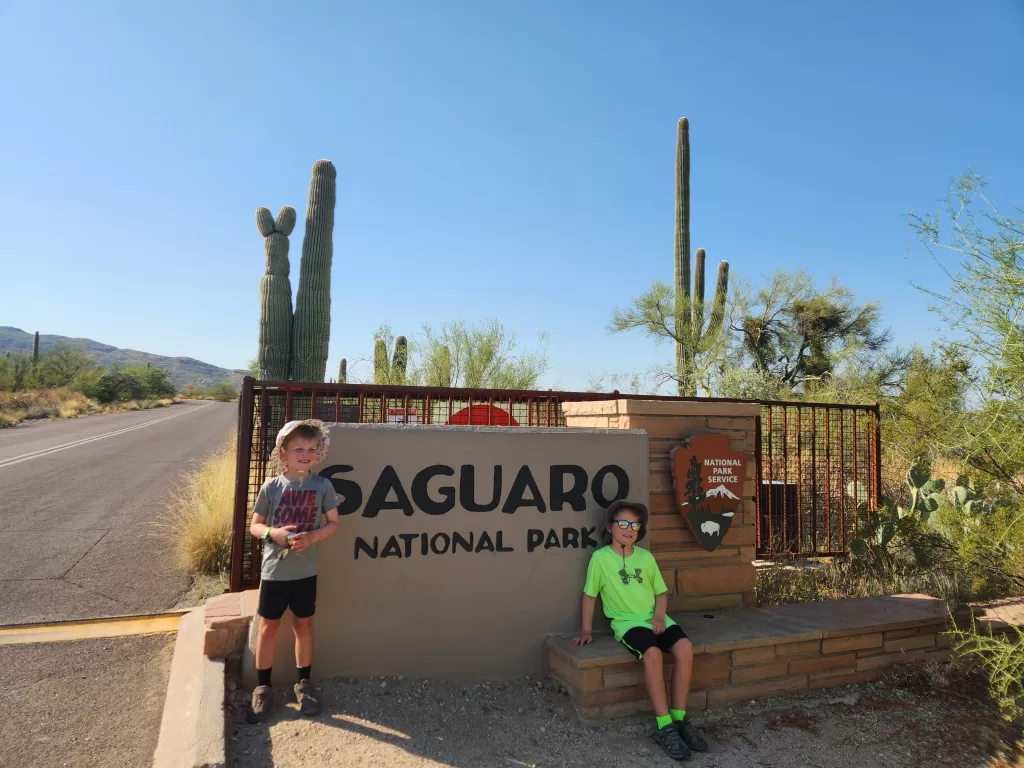 Saguaro National Park