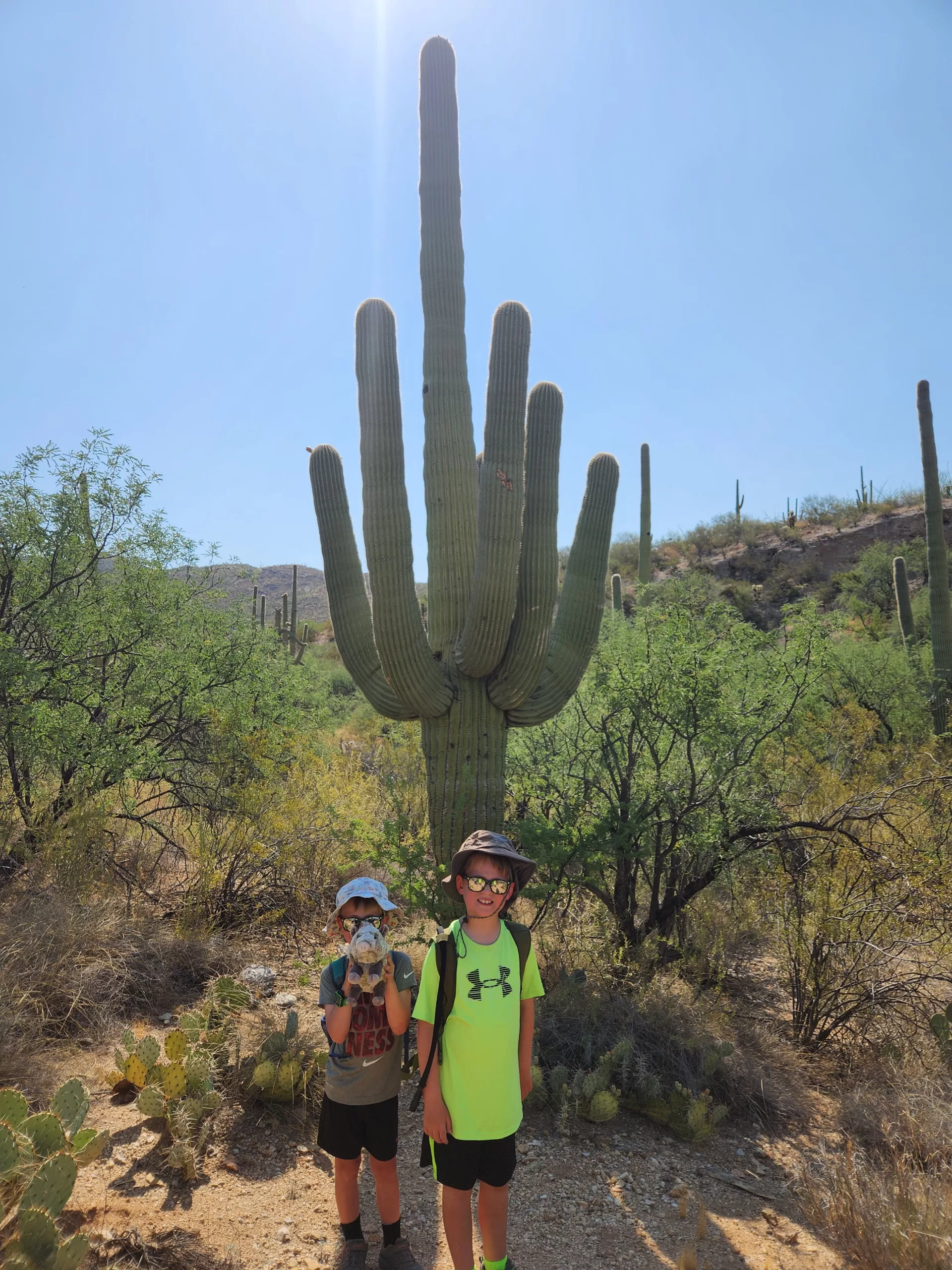 Saguaro National Park